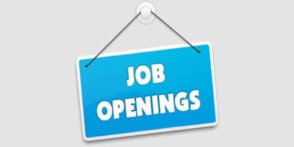 Indian Overseas Bank Bharti 2025